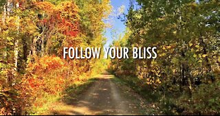 Follow Your Bliss (2020)