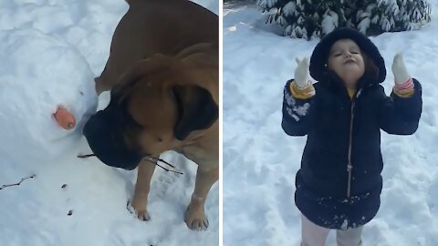Naughty dog approaches snowman, eats his carrot nose