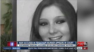 Man accused of Cheyenne Watkin's murder appears in court