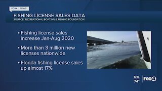 Florida fishing license sales are up