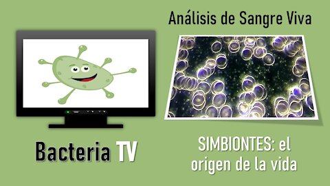 SIMBIONTES: EL ORIGEN DE LA VIDA