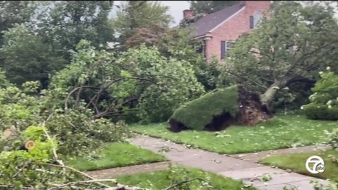 Grosse Pointe area hit hard by storms