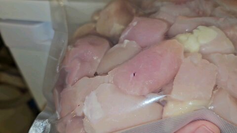 Vacuum Sealing Chunks of Organic Chicken Breast to be Frozen and Processed into Sausage: 01/26/2024