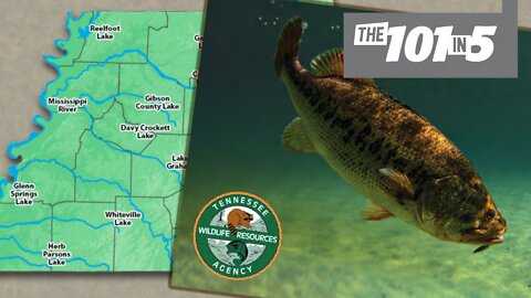 The 101 In 5: Local Concerts, Free Fishing Day, New NED Director