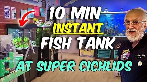 Amazing 10 Min Transformation - FROM an Empty Tank TO an Amazing Fish Tank at SUPER CICHLIDS!