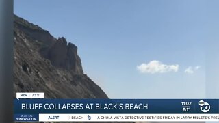 Section of sea bluff collapses at Black's Beach