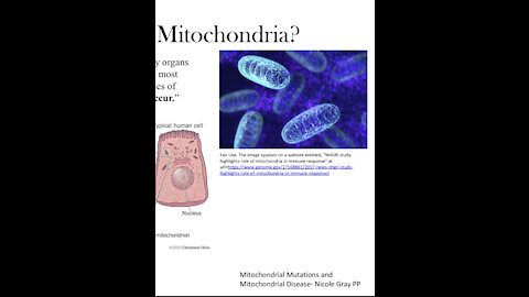 Mitochondrial Mutation and Disease- therapeutics