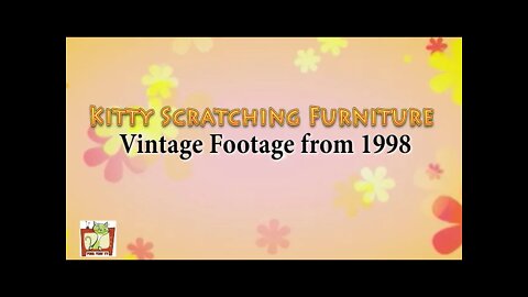 Purr View TV Show Ep 11 Vintage Catnips Kittys Scracthing Furniture 1998