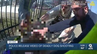 Bockfest 5K fatal dog shooting: Body cam video of incident released by Cincinnati police