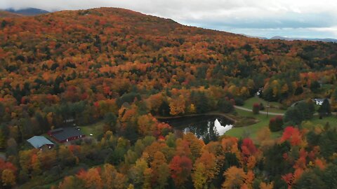 Peak Fall Foliage - Stowe, Vermont