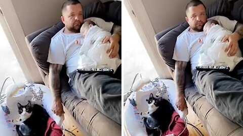 Sleep-deprived dad rocks cat in crib while holding the baby