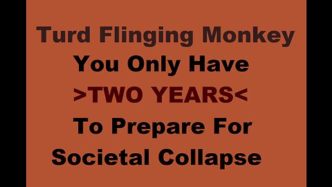 Turd Flinging Monkey - You Only Have TWO YEARS To Prepare For SOCIETAL COLLAPSE - MGTOW