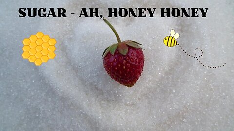 Sugar - Ah, Honey Honey