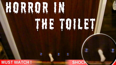 Horror in the toilet