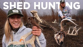 We Found a GIANT DEAD DEER While Shed Hunting