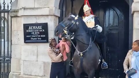 Tourist Holds baby up to the horse kings guard tells her 3 times to stand back #horseguardsparade