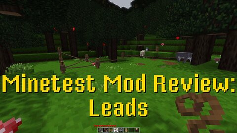 Minetest Mod Review: Leads