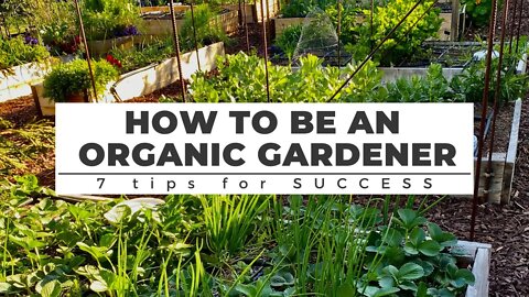 How to be an ORGANIC GARDENER: 7 Tips for Success