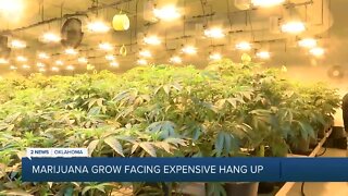 Oklahoma marijuana grow operation facing expensive delay