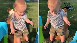 Baby Boy Uses Bulldog Friend To Help Him Dance