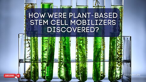 The Discovery of Plant-based Stem Cell Enhancers (with Christian Drapeau)