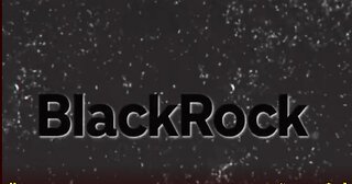 BlackRock_ The Most Evil Business In The World