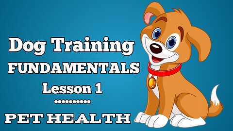 Dog Training Fundamentals