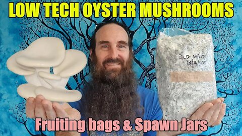 Low Tech Oyster Mushrooms | Recycled Paper Fruiting bags & Sawdust Spawn Jars