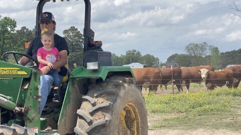 Grandpa’s lil’ helper ✨Waverly✨ & The Boy’s 🐂