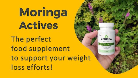 The Best Weight Loss Supplement in 2021: Moringa Actives