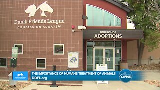 Humane Treatment of Animals // Denver Dumb Friends League