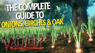 Complete Guide To Onions, Birches And Oak - Valheim