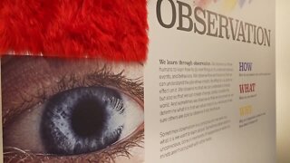 MSU Museum launches new exhibition on ways we observe