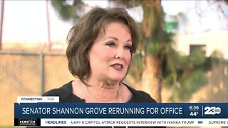 California State Senator Shannon Grove to run in District 12 State Senate race