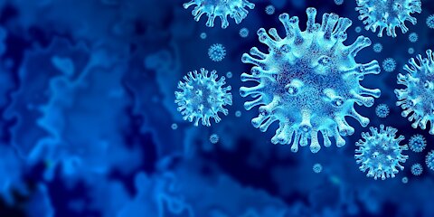 The Deadliest viruses in human history
