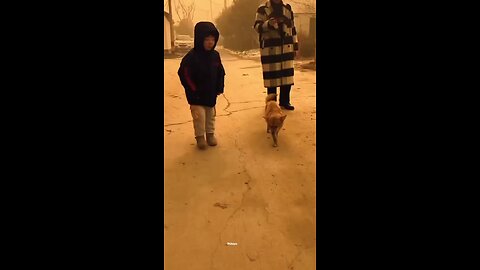 Little kid and dog dancing together✨🕺#dance#funny#doglover#viral#shorts#enjoy