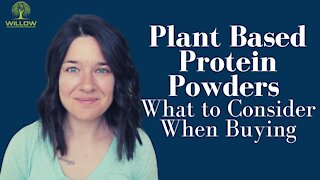 Plant Based Protein Powder: What to Consider When Buying