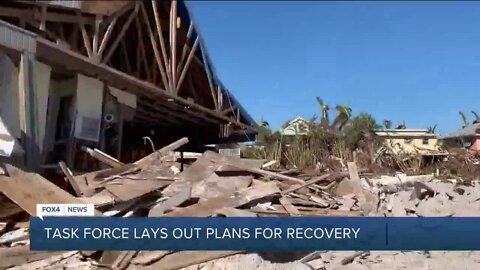 Hurricane Ian recovery task force lays out plans for recovery