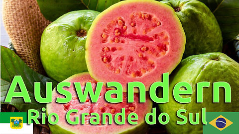 (197) Leben in Rio Grande do Sul | AUSWANDERN nach BRASILIEN | BUNDESSTAATENSERIE