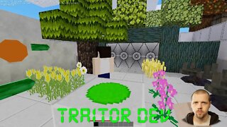 Traitor-Dev 05 | Bug fixes and more content