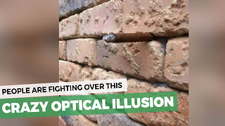 It’s The Optical Illusion That’s Causing People To Literally Fight. Do You Spot The Object?