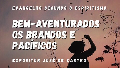 Palestra e fluidificação - Capítulo IX - Bem-Aventurados os Brandos e Pacíficos