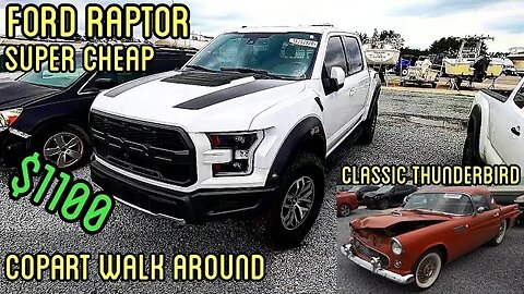 Copart Walk Around FORD RAPTOR, Classic Thunderbird, and Carnage