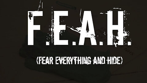 F.E.A.H. Fear Everything And Hide (FEAR parody)