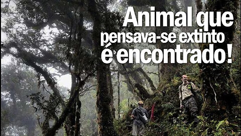 Animal que pensava-se extinto é fotografado | Animal thought to be extinct | JV Jornalismo Verdade