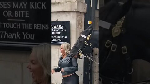 horse bites her on the shoulder #horseguardsparade