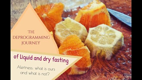 The deprogramming journey of liquid and dry fasting • Alertness: what is ours and what is not?