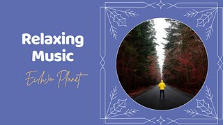 Relaxing Music for Stress Relief | 1+ Hour Sleep Therapy Music | Forest View | Calm Meditation Music