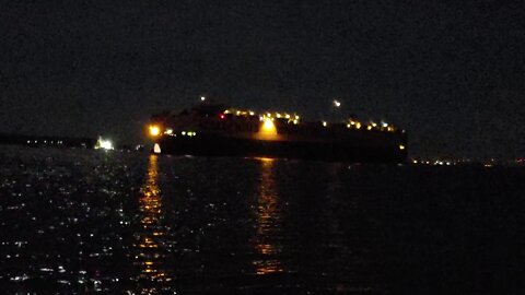 Wallenius Wilhelmsen passing by the capsized Golden Ray on its way out to sea - April 8, 2020