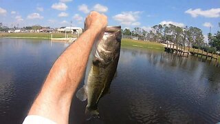 1 Boat Ramp, 2 Docks, and 2 Catches